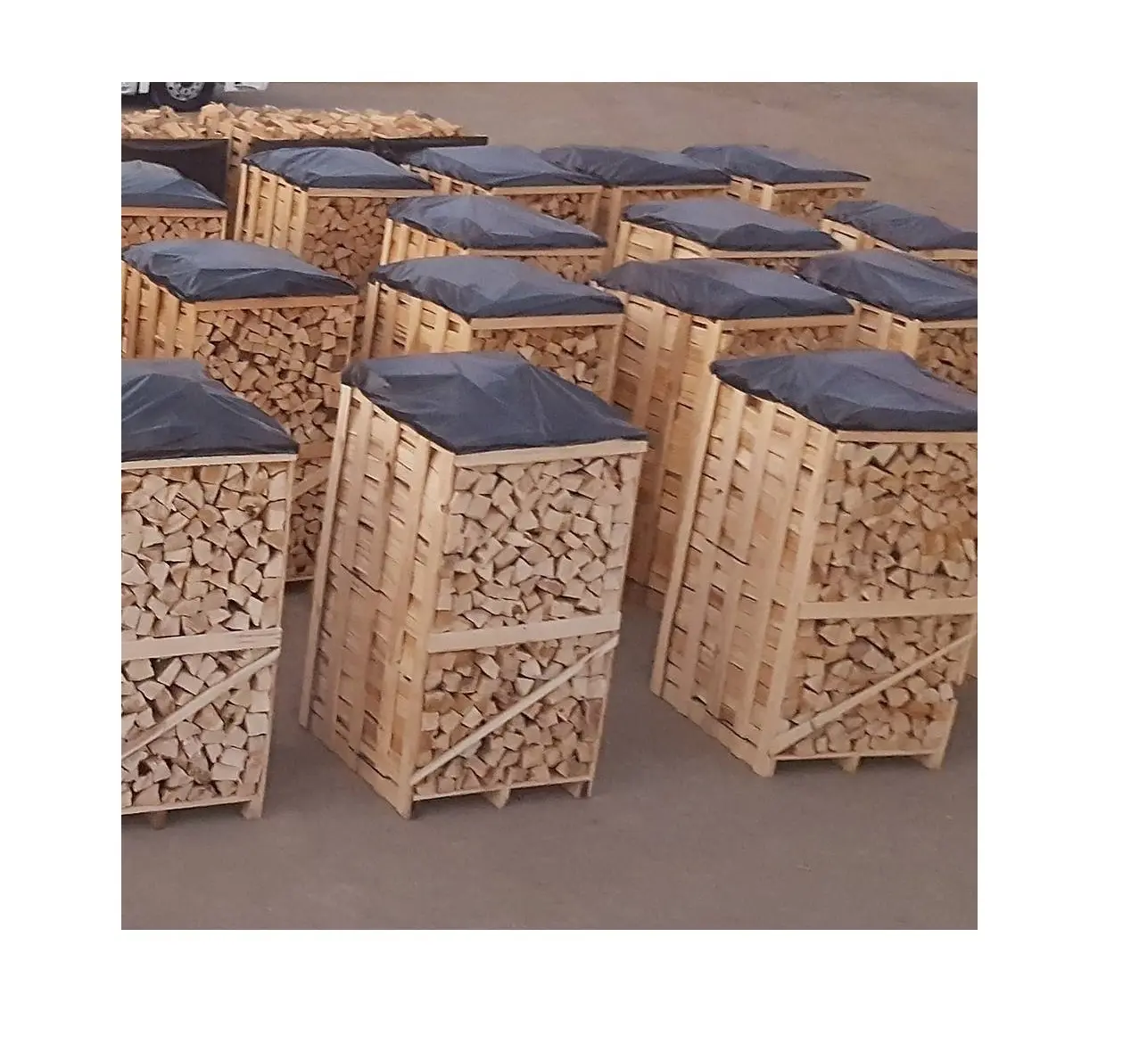 Wholesale Supplier of Kiln Dried Split Firewood / Beech Firewood Bulk Quantity Ready For Export