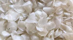 เกล็ดปลา - สินค้าผลิตภัณฑ์จากทะเลที่ยั่งยืนสำหรับอุตสาหกรรมเครื่องสำอางและอาหาร - Product Image 6