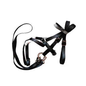 Brida de caballo elegante de cuero de primera calidad suave acolchado duradero ajustable con estilo entrenamiento de equitación espectáculo doma salto occidental - Product Image 2