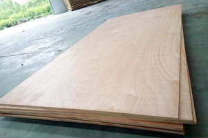 Bintangor Design moderne face à l'emballage contreplaqué mélamine Film face panneau de placage meilleur prix pin bouleau E0/E1/E2 garantie 1 an - Product Image 3