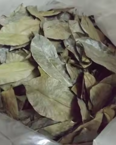 FABRICANT DE FEUILLES DE COROSSOL SÉCHÉES DU VIETNAM - Product Image 5