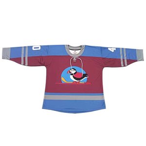 Uniformes de hockey sur glace personnalisés : maillots d'entraînement et sweats à capuche d'équipe personnalisés - Product Image 1