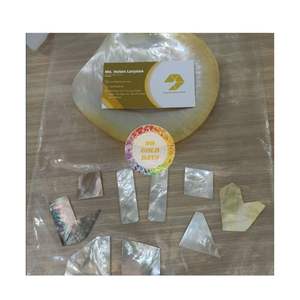 Fregona blanca con incrustaciones de conchas marinas, Vietnam, mejor precio, chapa de nácar para muebles, muestra gratis, alta calidad - Product Image 1