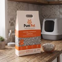 Litière pour chat en pierre ponce volcanique naturelle 5L en vrac, non agglomérante, haute absorption, contrôle des odeurs, faible poussière, fourniture écologique pour toilettes d'animaux