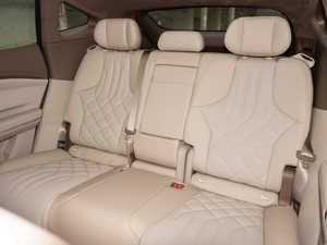 Auto Eléctrico Usado de Largo Alcance (825 km), Versión Pro, Alta Calidad, Colores Personalizables, Suministro de Fábrica - Product Image 6