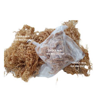 มอสทะเลสีทองของไอริช100% ธรรมชาติผลิตจากเวียดนามคุณภาพสูงอุดมไปด้วยประโยชน์ต่อสุขภาพ! - Product Image 6