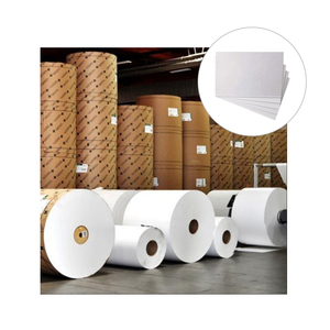 Professional Manufacturer PE Coated FBB Board Rolls <b>White</b> Color Durable FBB Board For Food And Beverage Packaging - Product Image 2