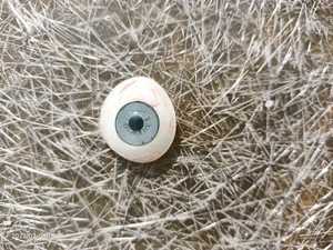 Anzuelo rostético, sí - Product Image 6