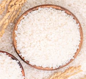 Precio de fábrica Mejor calidad Grano sabroso Gran oferta Salado ARROZ JAPONICA 5% ROTO 2kg - Product Image 5