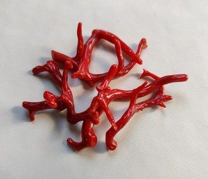 Palo de coral rojo italiano natural genuino, palo pulido de coral rojo italiano natural 100%. Palo de Coral Brillante Pulido, Palo de Coral - Product Image 4
