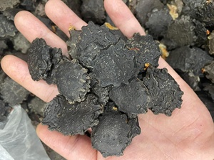 Premium GAC Seed Antioxidante natural Nutrientes limpios Especias y hierbas individuales derivadas de plantas - Product Image 2