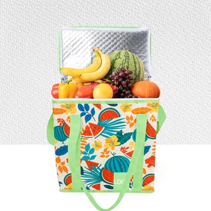 Bolsa Térmica Plegable y Portátil de Tela No Tejida con Cierre de Cremallera, Ecológica, Resistente a Impactos, Tamaño y Empaque Personalizables - Product Image 4