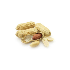 Hot Selling Price of Dried Organic Red Skin <b>Peanuts</b> in Bulk Quantity Blanched Bold <b>Peanuts</b> With Quality - Product Image 2