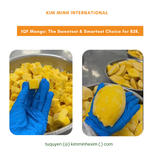 Les moitiés de mangue congelées de KMI du Vietnam IQF traitent en vrac emballé - Product Image 5