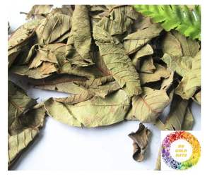 Gran oferta de té de hoja de guayaba Natural puro de alta calidad, venta al por mayor, bebida de hierbas de Vietnam, guayaba seca, suministro a granel Premium, té de hoja de guayaba - Product Image 2