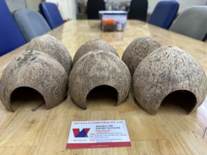 กรงนกทรงเปลือกหอยมะพร้าวใช้ในฤดูร้อนสำหรับซ่อนสัตว์เล็กราคาดีที่สุดจากเวียดนาม - Product Image 4