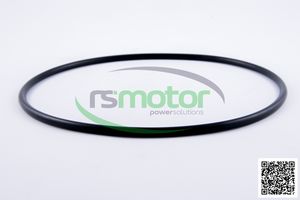 Joint torique OEM pour RS-01151135 MWM pour moteur à gaz naturel Pièces de machines neuves - Product Image 3