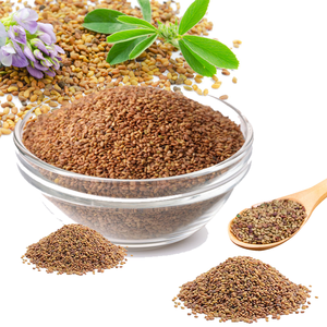 หญ้าชนิต | ฟีดสีเขียวที่สอดคล้องกันที่ใช้ในฟาร์มโคนม - Product Image 2