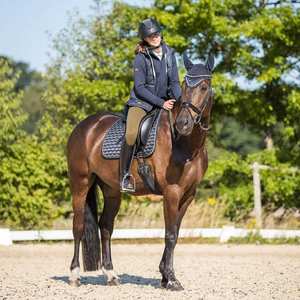 Top Trending Cute Colors Foam Satin Jumping Saddle Pad Standard International Western Style with <b>Cushion</b> <b>Filling</b> Cotton Lining - Product Image 5