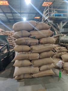 Graines de coriandre de qualité supérieure, graines de coriandre séchées, graines de coriandre entières, graines de coriandre fendues, graines de coriandre pour épices - Product Image 6