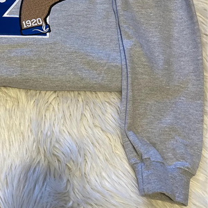 Sweat-shirt lettre grecque gris personnalisé | 1920 vêtements inspirés de la sororité Logo personnalisé épaule tombante Streetwear 100% coton - Product Image 4