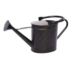 Regadera de Metal Vintage Charm con acabado de hierro texturizado hecho a mano para esquinas verdes interiores y exhibición al aire libre - Product Image 1