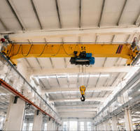 Grue sous-cerceau compacte LX avec palan à câble pour la manutention de matériaux en optimisant l'espace