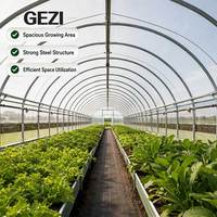 Serre commerciale hydroponique pour la culture de légumes et de tomates, tunnel en plastique à simple travée, tunnel haute hauteur, serre à structure en arche Quonset