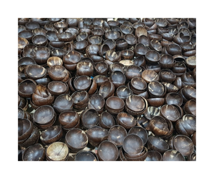 Cuenco de cáscara de coco natural ecológico de alta calidad, vajilla hecha a mano en Vietnam para restaurantes, venta al por mayor, diseño personalizado - Product Image 5