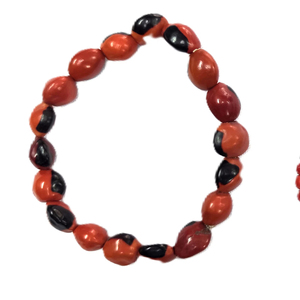 Handmade Huayruro Seed <b>Beaded</b> <b>Bracelet</b> Eco-Friendly Fashion Artisan Jewelry with Natural Seeds Colorful Multistrand Designs - Product Image 1