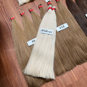 Extensions de cheveux humains vietnamiens en vrac, lisses naturelles, cuticules alignées, options de couleur Hairshop - Product Image 2