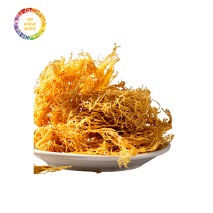 Sea Moss All Natural Ocean Raw Gold Irish Seamoss Vegan Sundried - Product Image 2