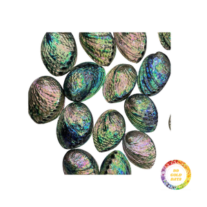 เปลือกหอยเป๋าฮื้อเปลือกหอยเคลือบเงาสีสันสดใสสำหรับฝังเครื่องประดับ - Product Image 3