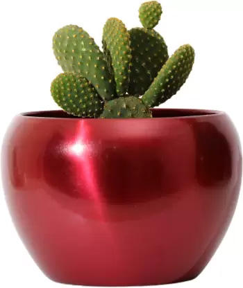 Adapté aux besoins du client