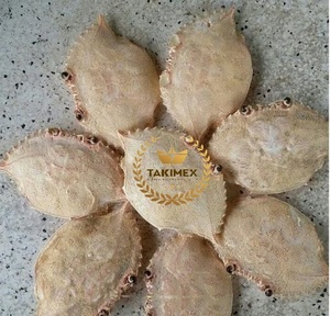 COQUILLE DE CRABE SÉCHÉE ENTIÈRE DE HAUTE QUALITÉ ET AU MEILLEUR PRIX-COQUILLE DE CRABE SÉCHÉE POUR ALIMENTS PLATS DE SERVICE DE RESTAURANT EN FARCE - Product Image 6