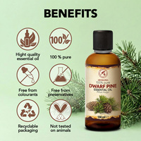 Minyak Esensial Dwarf Pine 100ml Aromatika Minyak Daun Pinus Mugo untuk Pembuatan Kosmetik, Campuran Pijat, dan Perlengkapan Sauna