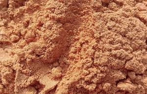 บริสุทธิ์ Mimosa Pudica ผง - Product Image 5