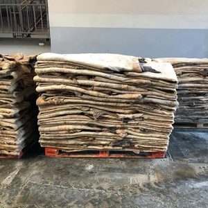 Peaux de vache kényanes en gros abordables 2025 pour l'exportation, haute qualité, prêtes à être expédiées, peaux de vache kenyanes brutes salées humides, peaux de vache séchées - Product Image 6