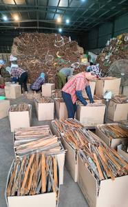 Cannelle fendue de qualité supérieure - Cassia bien séchée et nettoyée - Vente en gros en gros volume pour l'exportation - Product Image 4