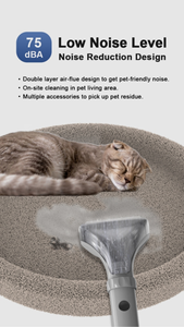 Nettoyeur Électrique Portable pour <span class=keywords><strong>Tapis</strong></span> et Tissus d'Ameublement 3L, Laveur Multifonctionnel pour <span class=keywords><strong>Tapis</strong></span>, Meubles et Détail Automobile - Product Image 6