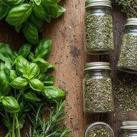 Daun BASIL HOLY kering PREMIUM 100% bahan teh HERBAL alami