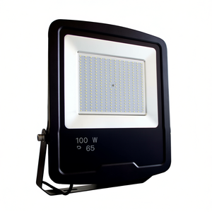 Proyector LED para Exteriores Gorilla de 100W, Foco de Luz - Product Image 2
