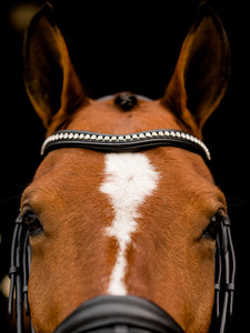 Produits de bride à mèches roulées Laisse de course en cuir tressé durable Entraînement à la marche pour fournitures pour animaux de compagnie de taille moyenne - Product Image 5