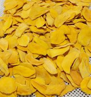Tropische gedroogde gesneden mango, FD-geprocesseerd, Vietnam, hoge kwaliteit, natuurlijke snack voor importeurs van de voedingsindustrie wereldwijd