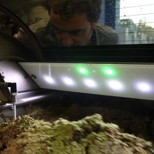 Pruneti 100% Aceite de Oliva Virgen Extra italiano Primer prensado en frío Alto contenido de polifenoles Sabor estructurado Calidad Premium 5L Lata - Product Image 4