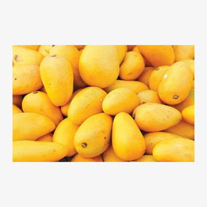 Nouveauté, goût délicieux, mangue fraîche et naturelle, mangue jaune pure de qualité, disponible en vrac - Product Image 5