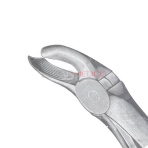 คีมถอนฟันสแตนเลสขนาดต่างๆ - Product Image 2