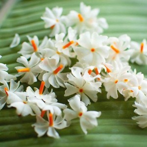 Har sringar Attar Hecho en India - Product Image 3