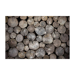 Grumes et bois de chêne Grumes et bois de frêne Bûches et bois d'Épicéa Grumes et bois Meilleur produit - Product Image 5