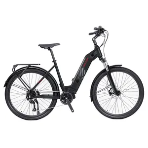 Offre Spéciale adulte 1000 watts haute gamme moteur e vélo vintage vélos électriques/vélo de ville électrique 1000 w velo electrique ebike